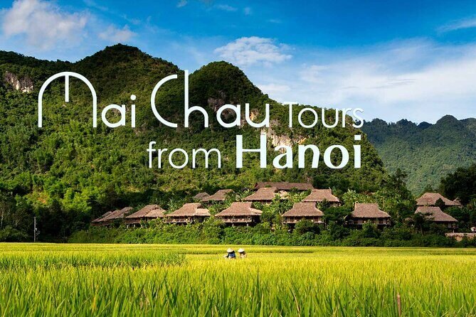 10-Day North Vietnam Cycling Adventure: From the Highland Tea Plantations of Moc Chau to the Limestone Karsts of Ha Long Bay